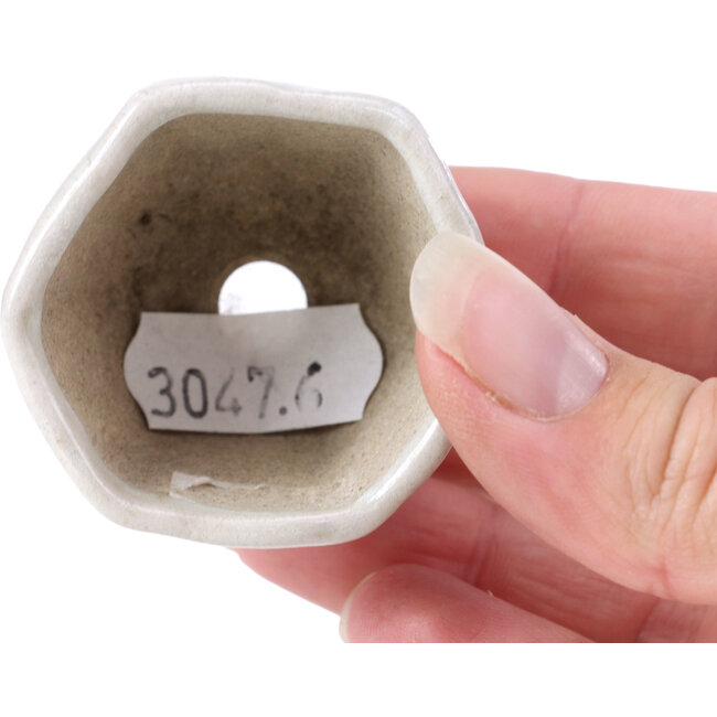 Hexagonal beige bonsai pot - 45 x 45 x 30 mm