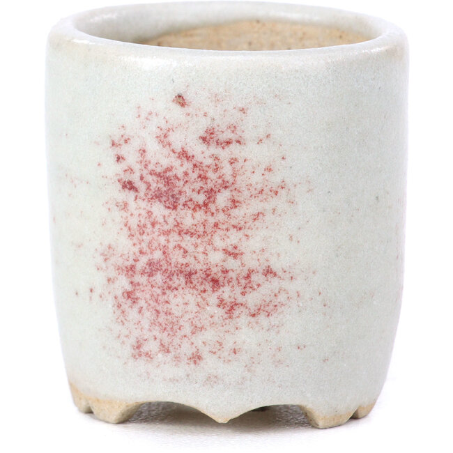 Runde beige Bonsaischale - 35 x 35 x 40 mm