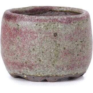  Other Tokoname bonsai pot makers 40 mm round grey pot from Tokoname, Japan