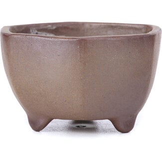  Other Tokoname bonsai pot makers Vaso esagonale non smaltato da 60 mm di Tokoname, Giappone