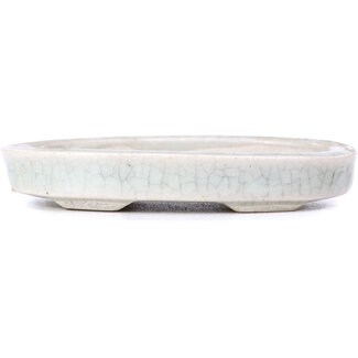  Other Tokoname bonsai pot makers 90 mm oval white pot from Tokoname, Japan