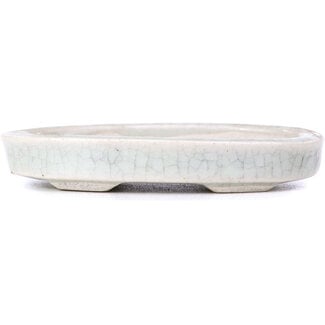  Other Tokoname bonsai pot makers Vaso bianco ovale da 90 mm di Tokoname, Giappone