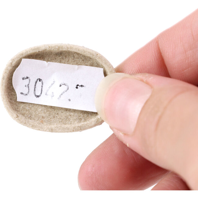 Ovale unglasierte Bonsaischale - 30 x 22 x 4 mm