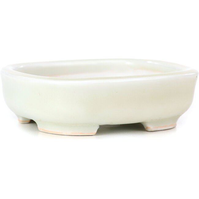 Pot à bonsaï carré blanc - 95 x 95 x 26 mm