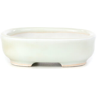  Other Tokoname bonsai pot makers 95 mm square white pot from Tokoname, Japan