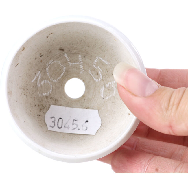 Pot à bonsaï rond bleu - 65 x 65 x 35 mm