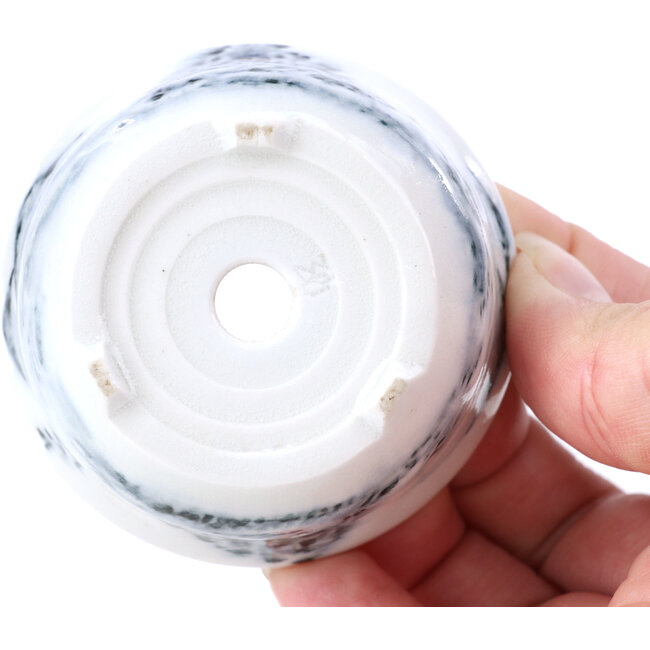 Pot à bonsaï rond bleu - 65 x 65 x 35 mm