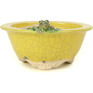 Masashi Furumoto Vaso per bonsai rotondo giallo da 130 mm di Masashi Furumoto, Giappone