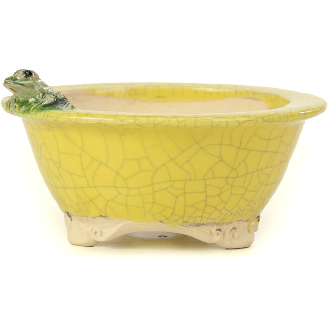 Runde gelbe Bonsaischale von Masashi Furumoto - 130 x 130 x 55 mm