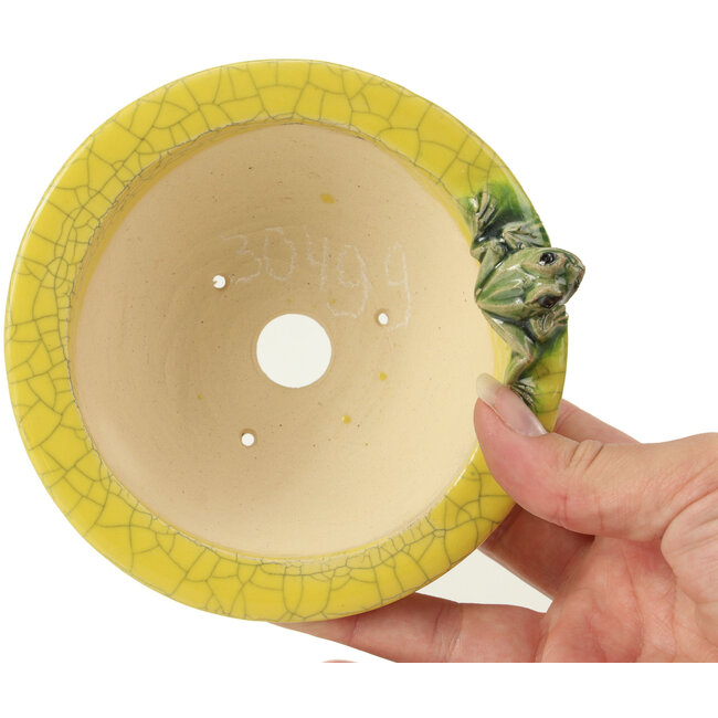 Runde gelbe Bonsaischale von Masashi Furumoto - 130 x 130 x 55 mm