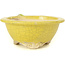 Round yellow bonsai pot by Masashi Furumoto - 130 x 130 x 55 mm