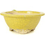 Runde gelbe Bonsaischale von Masashi Furumoto - 130 x 130 x 55 mm