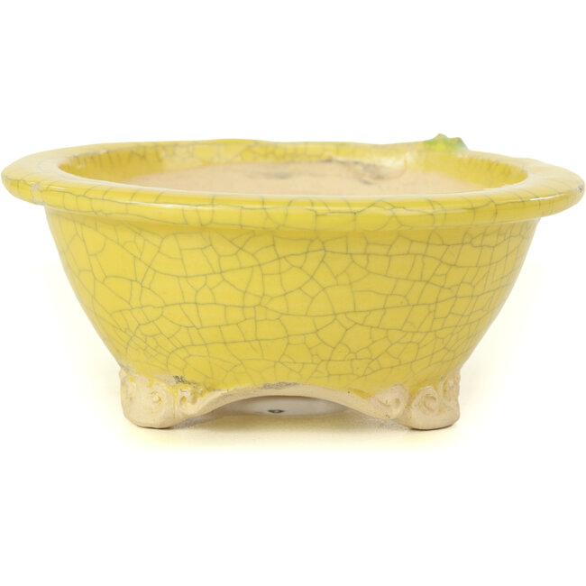 Pot à bonsaï rond jaune par Masashi Furumoto - 130 x 130 x 55 mm