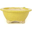 Pot à bonsaï rond jaune par Masashi Furumoto - 130 x 130 x 55 mm