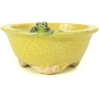 Masashi Furumoto Vaso per bonsai rotondo giallo da 130 mm di Masashi Furumoto, Giappone