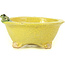 Pot à bonsaï rond jaune par Masashi Furumoto - 130 x 130 x 55 mm