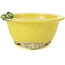 Vaso per bonsai rotondo giallo di Masashi Furumoto - 130 x 130 x 55 mm