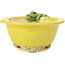 Round yellow bonsai pot by Masashi Furumoto - 130 x 130 x 55 mm