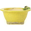 Round yellow bonsai pot by Masashi Furumoto - 130 x 130 x 55 mm