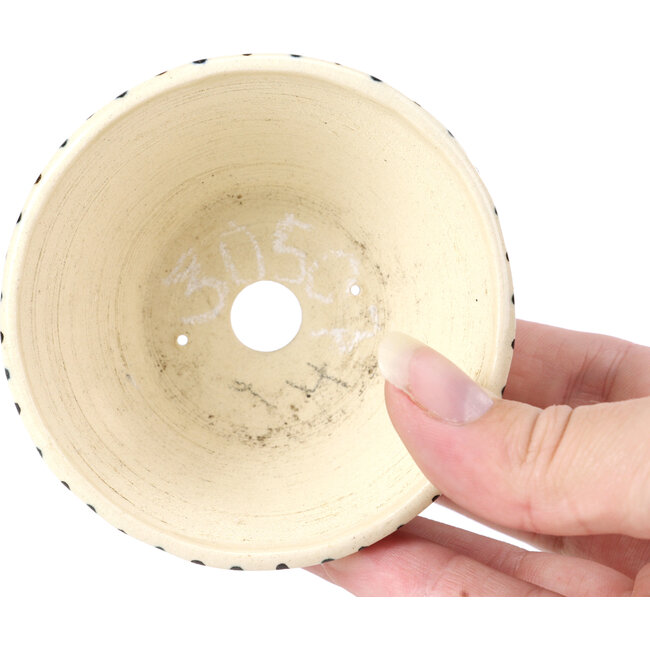 Vaso per bonsai rotondo beige di Bonsai - 85 x 85 x 45 mm