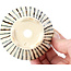 Pot à bonsaï rond beige par Bonsai - 85 x 85 x 45 mm