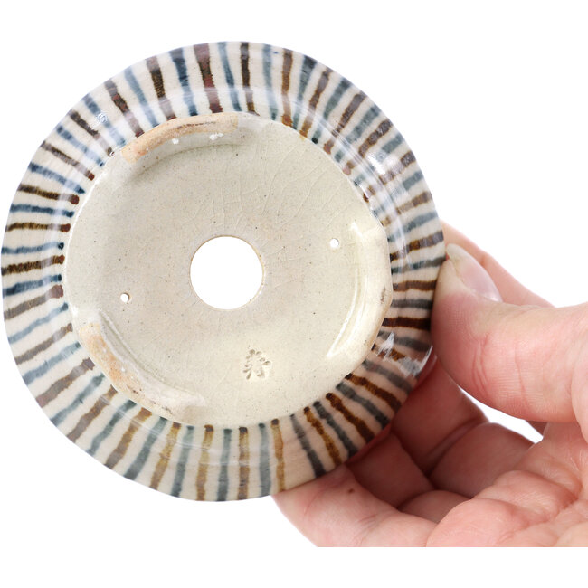 Runde beige Bonsaischale von Bonsai - 85 x 85 x 45 mm