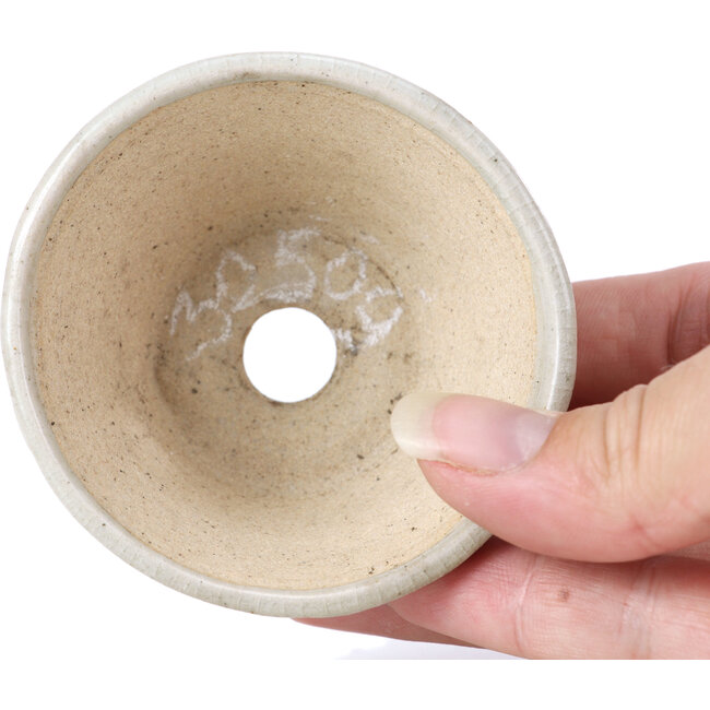 Maceta de bonsái redonda beige de Bonsai - 85 x 85 x 45 mm