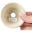 Pot à bonsaï rond beige par Bonsai - 85 x 85 x 45 mm