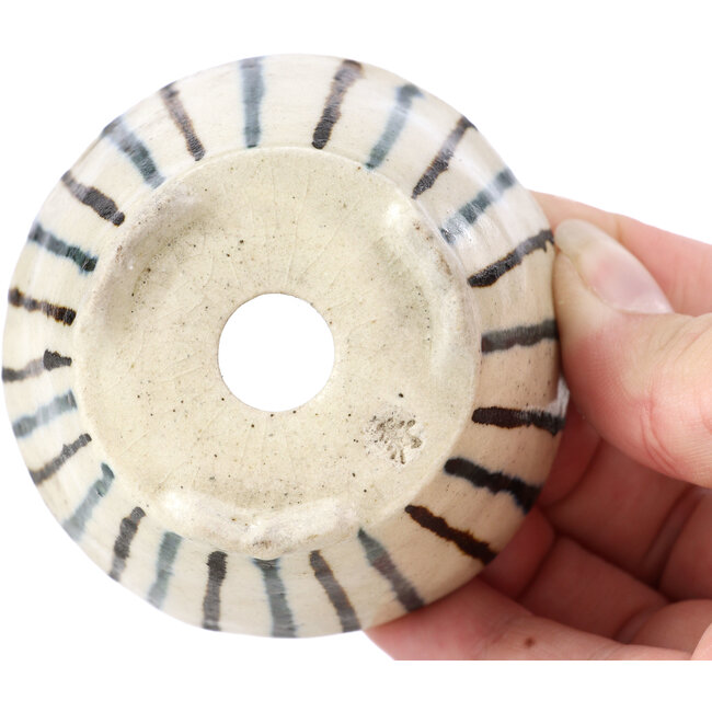 Pot à bonsaï rond beige par Bonsai - 85 x 85 x 45 mm