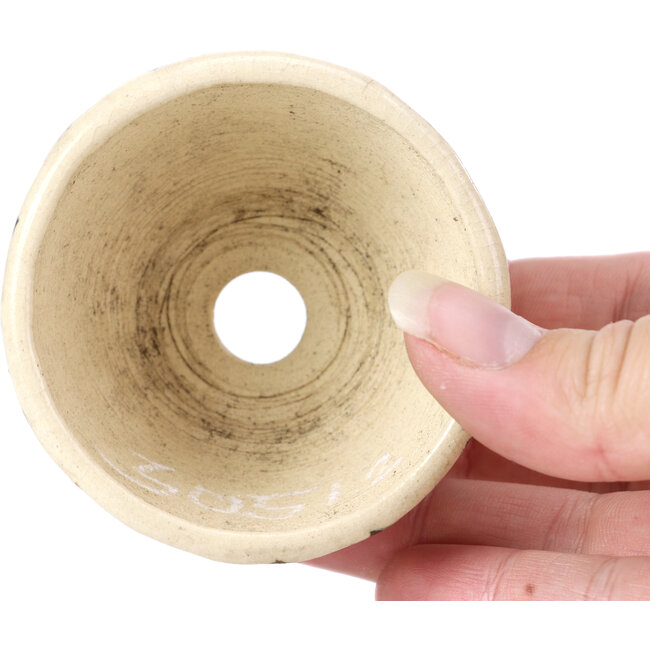 Pot à bonsaï rond beige par Bonsai - 66 x 66 x 40 mm