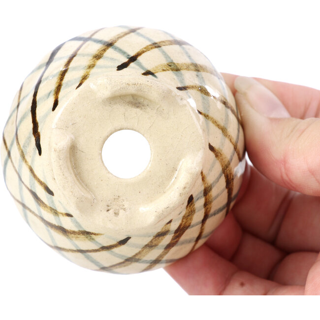 Round beige bonsai pot by Bonsai - 66 x 66 x 40 mm