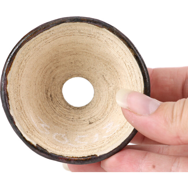 Maceta de bonsái redonda beige de Bonsai - 66 x 66 x 40 mm