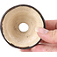 Pot à bonsaï rond beige par Bonsai - 66 x 66 x 40 mm