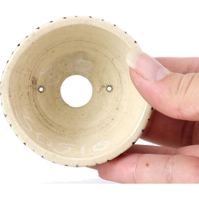 Vaso per bonsai rotondo beige di Bonsai - 66 x 66 x 40 mm