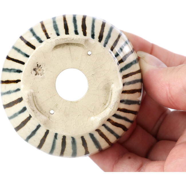 Pot à bonsaï rond beige par Bonsai - 66 x 66 x 40 mm