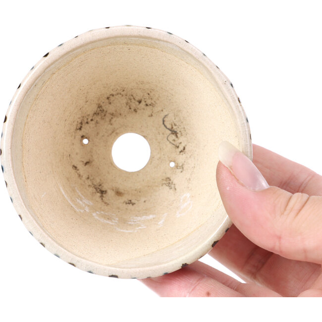 Vaso per bonsai rotondo beige di Bonsai - 85 x 85 x 45 mm