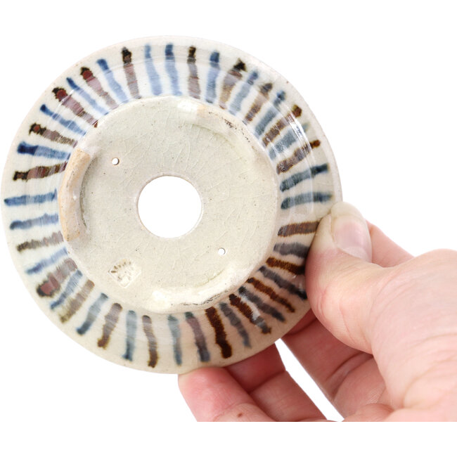 Runde beige Bonsaischale von Bonsai - 85 x 85 x 45 mm