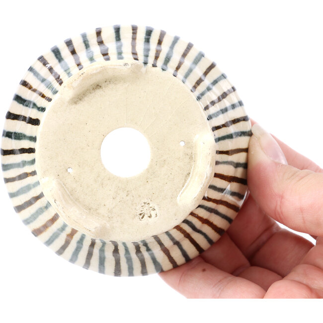 Ronde beige bonsaipot van Bonsai - 85 x 85 x 45 mm