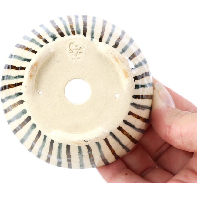 Maceta de bonsái redonda beige de Bonsai - 85 x 85 x 45 mm