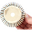 Pot à bonsaï rond beige par Bonsai - 85 x 85 x 45 mm