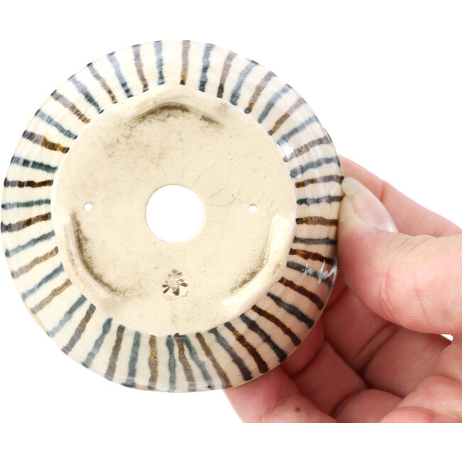 Maceta de bonsái redonda beige de Bonsai - 85 x 85 x 45 mm