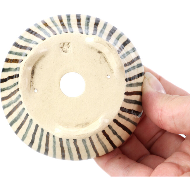 Pot à bonsaï rond beige par Bonsai - 85 x 85 x 45 mm