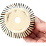 Ronde beige bonsaipot van Bonsai - 85 x 85 x 45 mm