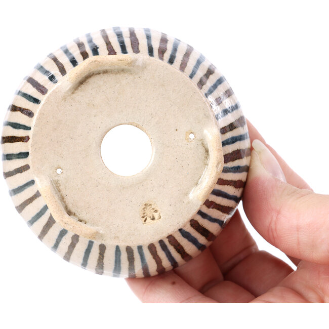 Runde beige Bonsaischale von Bonsai - 85 x 85 x 45 mm