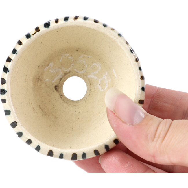 Runde beige Bonsaischale von Bonsai - 65 x 65 x 35 mm