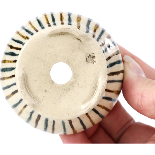 Runde beige Bonsaischale von Bonsai - 65 x 65 x 35 mm