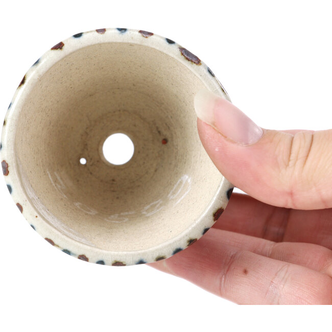 Round beige bonsai pot by Bonsai - 65 x 65 x 50 mm