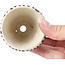 Ronde beige bonsaipot van Bonsai - 65 x 65 x 50 mm