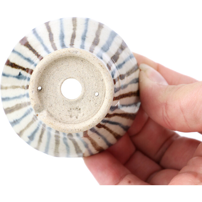 Runde beige Bonsaischale von Bonsai - 65 x 65 x 50 mm