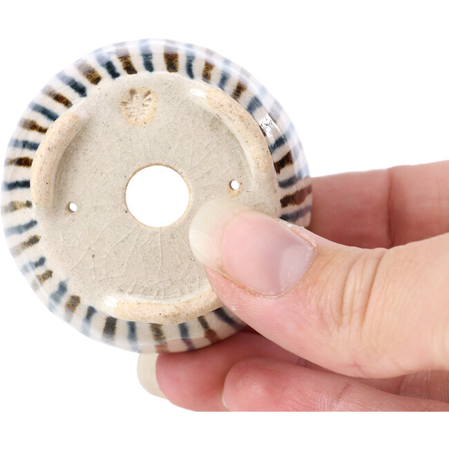 Vaso bonsai rotondo beige di Bonsai - 50 x 50 x 30 mm